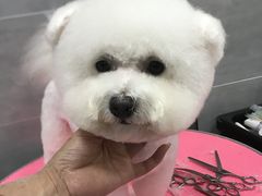 -宠福鑫康馨动物医院·骨科·眼科