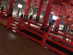 -蓝鲸湾汤泉(包河店)