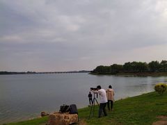 -丁香湖公园