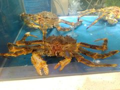 -BHG Market Place(水游城店)