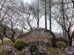-无锡梅园公园