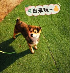 -萌宠亲子动物乐园(槐房万达店)