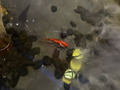 -红蜡烛-养生粥-津鲁菜(中山路店)