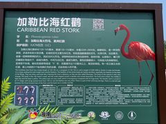 -海南热带野生动植物园