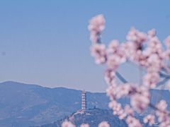 -颐和园