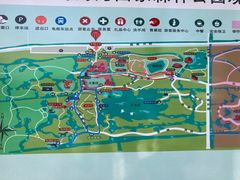 -上海海湾国家森林公园