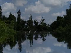 -泰煌鸡·上海白斩鸡·鸡汤面(万航店)