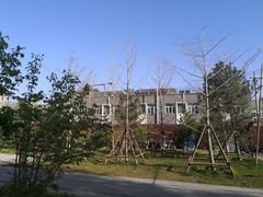 -北京石刻艺术博物馆(五塔寺)