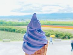 -富田农场