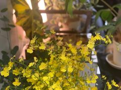 -一尺花园(安和花园店)