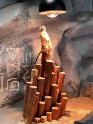 -Zoolung Zoolung动物主题公园(海信广场店)