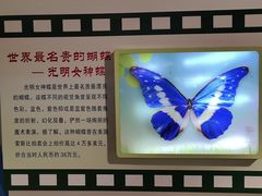 -上海昆虫博物馆