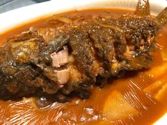 红烧黄河鲤鱼-阿五黄河大鲤鱼(纬三路店)