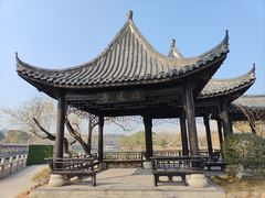 -八大山人梅湖景区