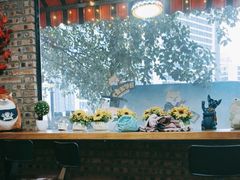 -柴犬高等学院·狗咖·柴犬售卖·宠物训练