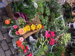 本溪路花鸟市场-本溪路花鸟市场(江浦路1709弄小区店)
