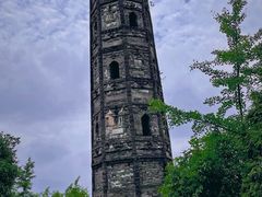 -上海佘山国家森林公园天马山园