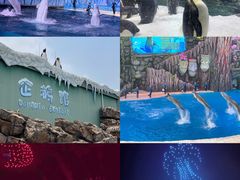 -珠海长隆海洋王国