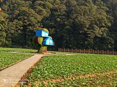 -广州市石门国家森林公园