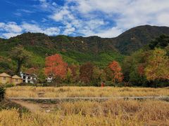 -塔川景区