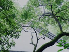 -西园戒幢律寺