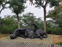 -棒棰岛宾馆景区