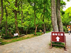 -WeLope紫金山探险公园
