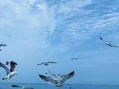 -海驴岛(荣成市)