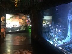 -暹罗海洋世界