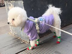 -瑞派宠物医院·犬猫全科·猫友好(宾水西道店)