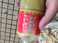 -黎雪珍凉茶(八旗二马路店)
