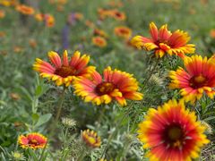 -北运河水利风景区