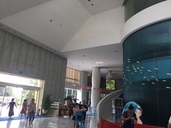 -深圳东部华侨城瀑布酒店