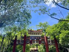-梧桐庄园