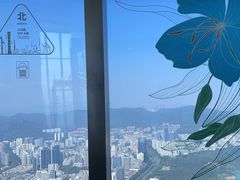 -平安金融中心云际观光层