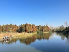 -溱湖国家湿地公园