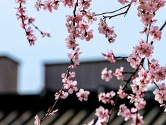 -三里河公园
