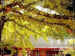 -红螺寺