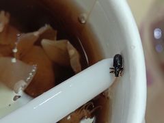 -AunteaCare姨妈热饮(琶洲店)