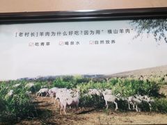 -老村长大锅炖羊肉(榆林大道店)