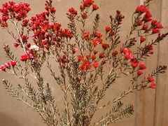 -旺顺阁海鲜广场(亚运村店)