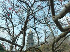 -红梅公园