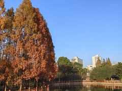 -黄兴公园
