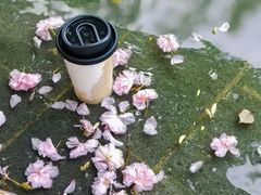 -Beans Solo豆号咖啡(百家湖花园店)