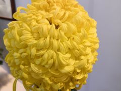 -莲湖公园