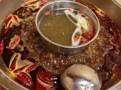 -金鼎雪山牦牛杂火锅(理县总店)