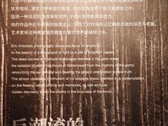 -上海琉璃艺术博物馆