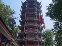 -五凤山森林公园