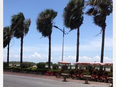 -南沙十九涌渔人码头-南门