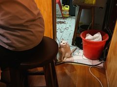 -老龙亭拉面店